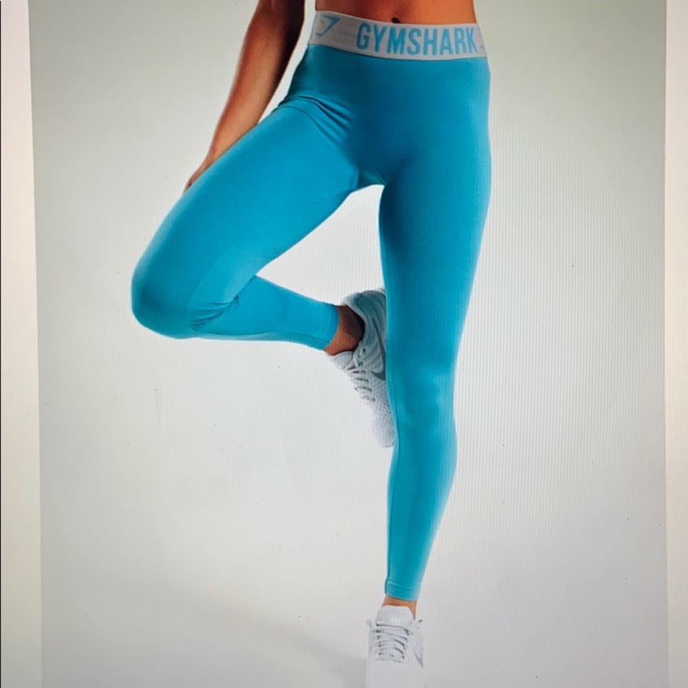 Dusty Teal/Light Grey Gymshark Fit Leggings
